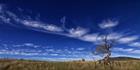 Reach - Jindabyne - NSW T (PBH4 00 12488)